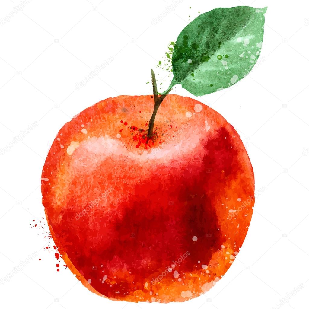Red Apple on a white background. vector illustration