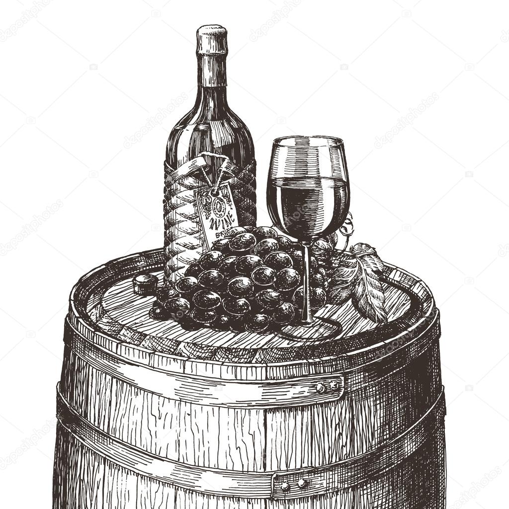 wine on a white background. sketch