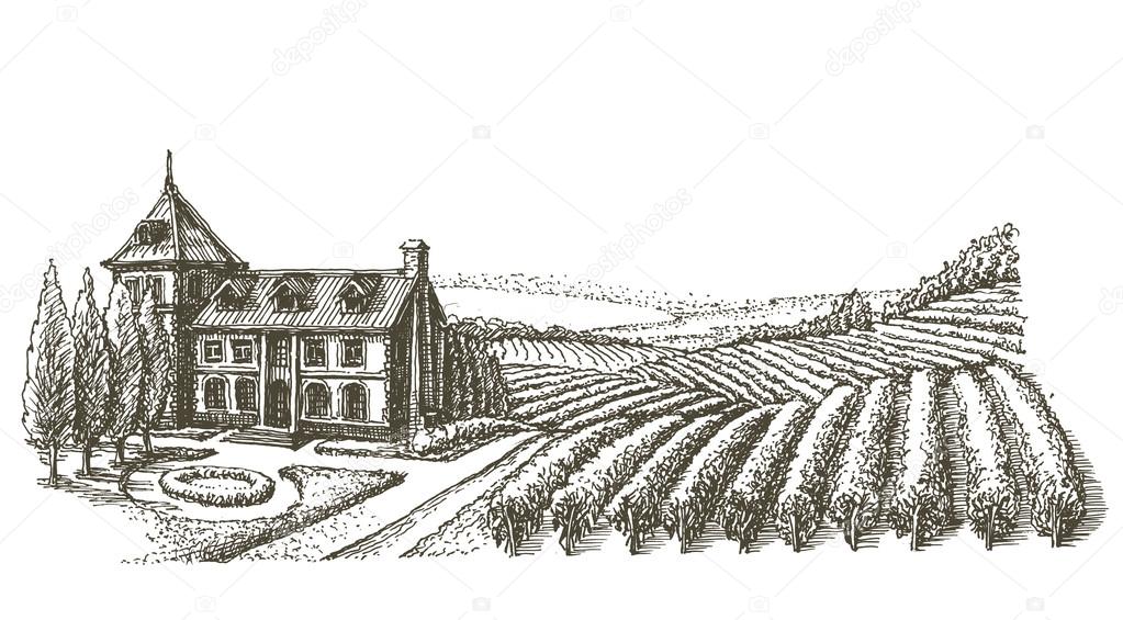 Sketch. home and harvest on a white background. vector illustration