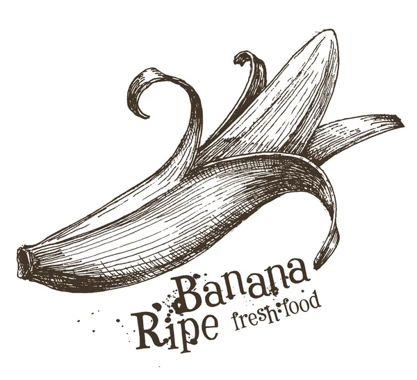 바나나 벡터 로고 디자인 서식 파일입니다. 과일 또는 음식 아이콘. — 스톡 벡터