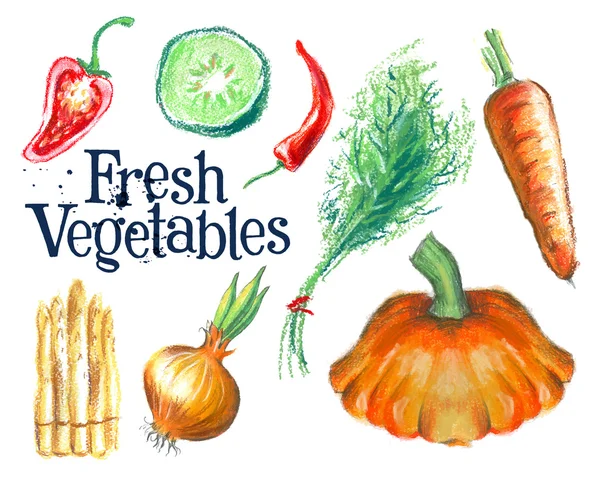 Fresh vegetables on white — Stock Vector