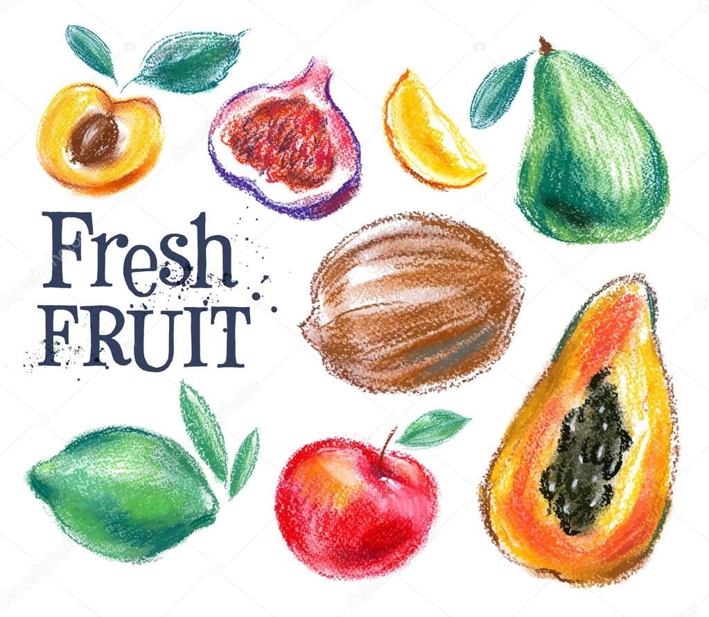 Ripe fruit vector logo design template. Fresh food or harvest icon. Fresh fruit on a white background. Vector illustration