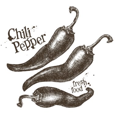 Chili pepper logo design template clipart