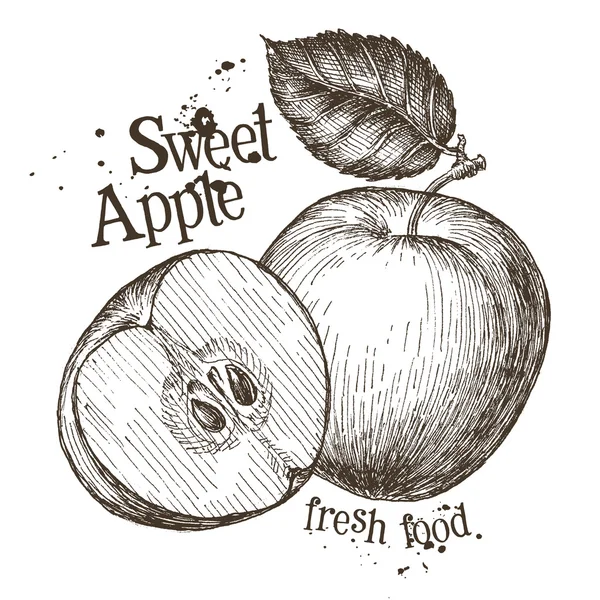 Frischer Apfel Logo Design-Vorlage — Stockvektor