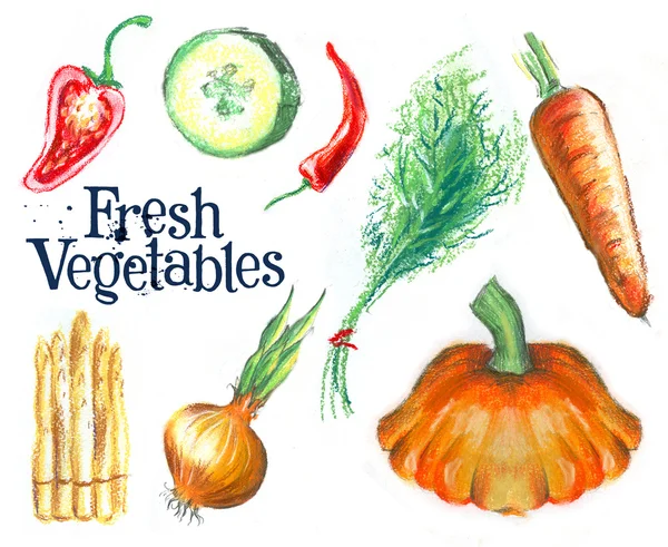 Sketch. fresh vegetables on white background — Stock Photo, Image