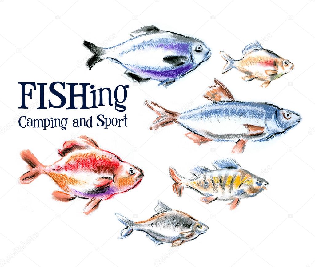 fresh fish and seafood on white background