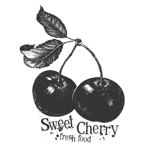 Cherry on a white background. sketch — Stock Photo, Image