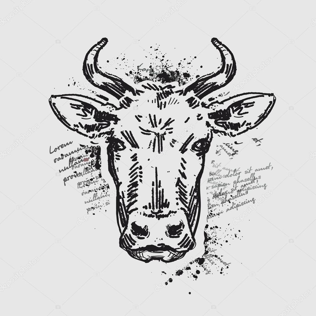 head cow. vector illustration