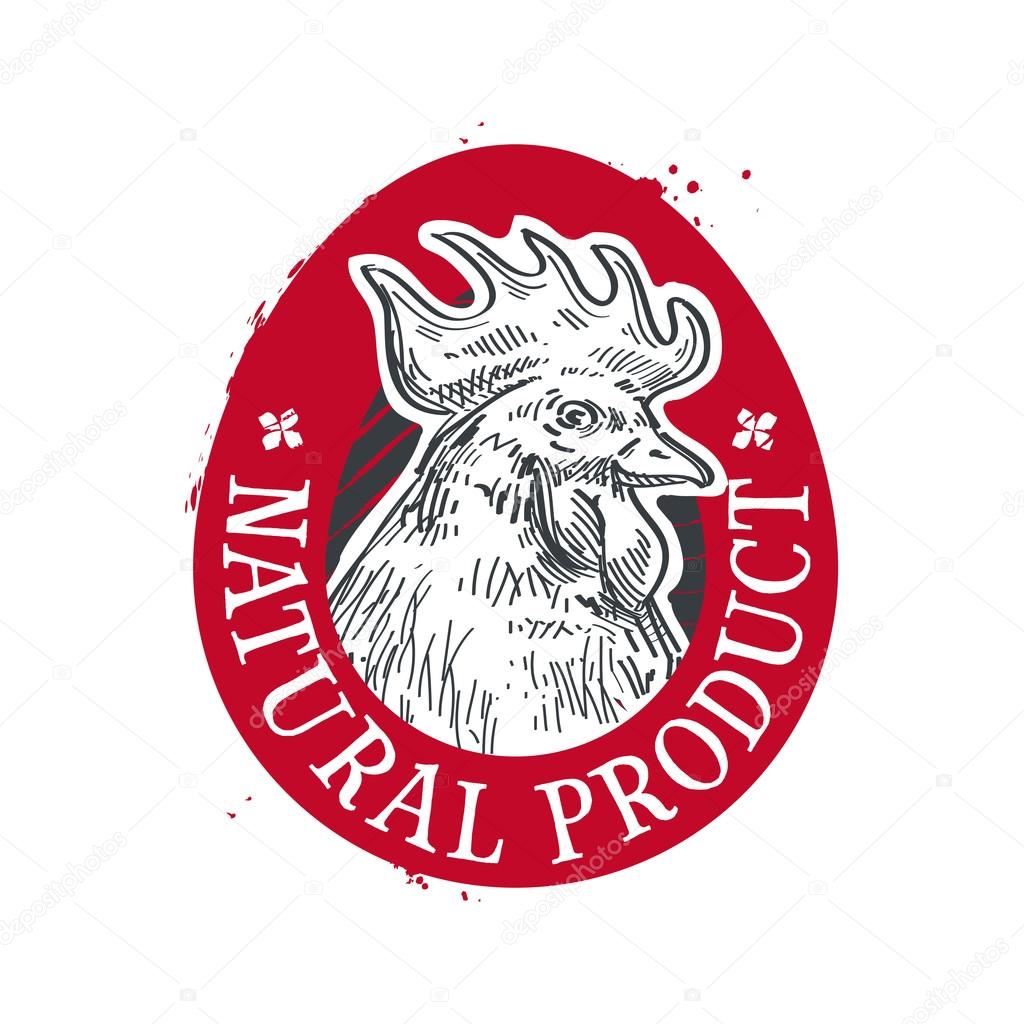 chicken vector logo design template. food or egg icon