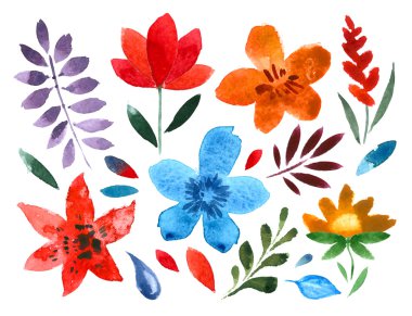 dizi handpainted suluboya vektör çiçek ve yaprakları. çiçek dekoratif elemanlar