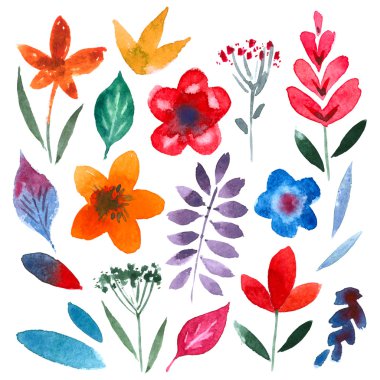 handpainted suluboya vektör çiçek ve yaprakları topluluğu. çiçek dekoratif elemanlar