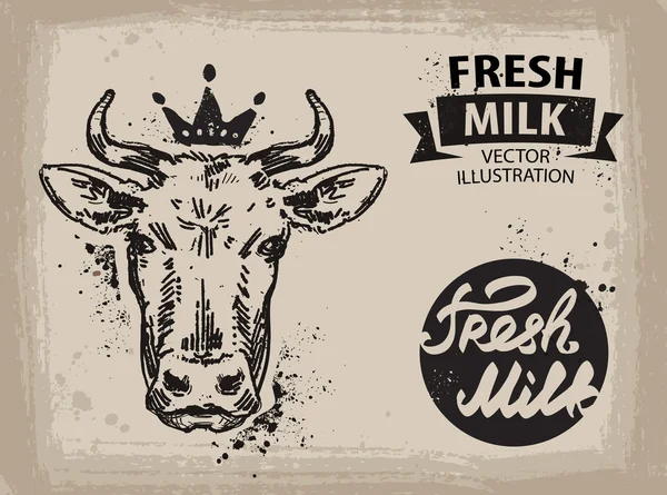 Tehén vektor logo design sablon. marha-, tej- és mezőgazdasági ikon — Stock Vector