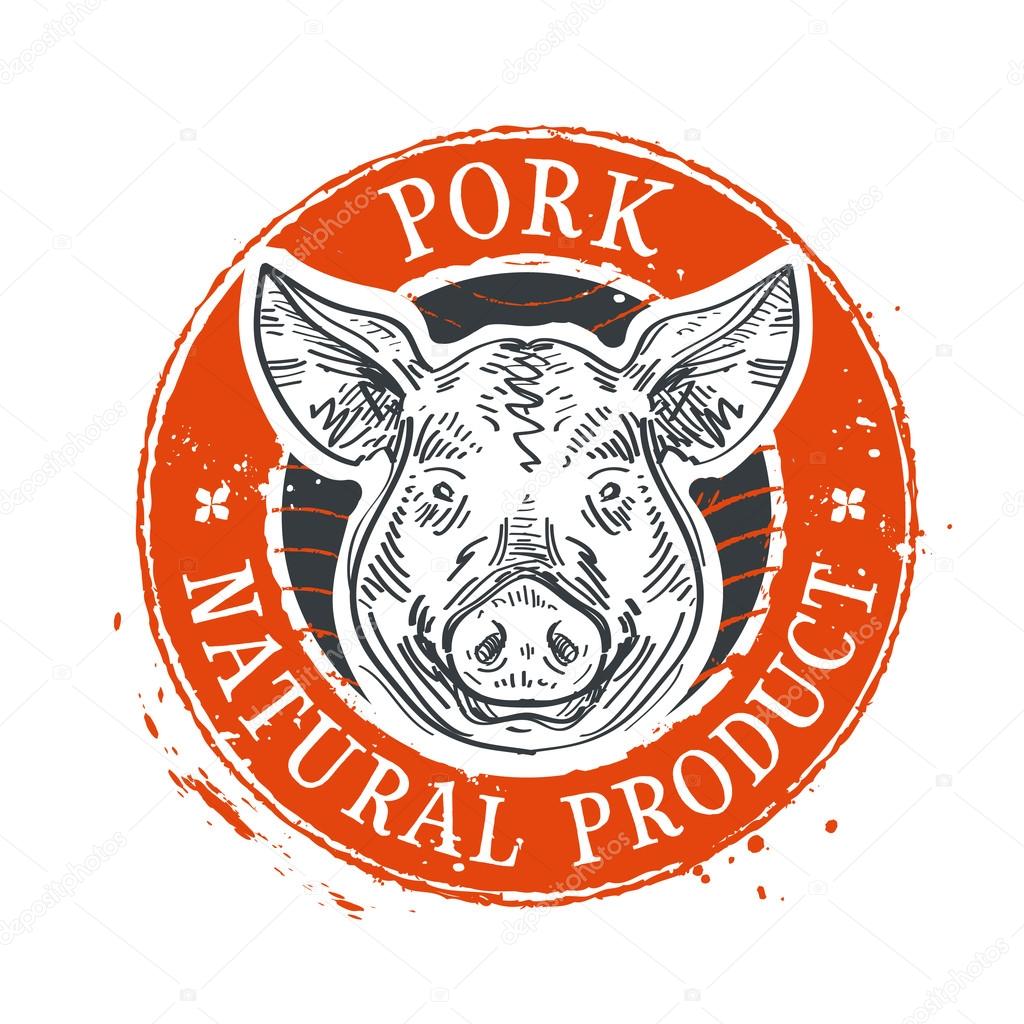 Pig head on a white background. sketch. vector illustration