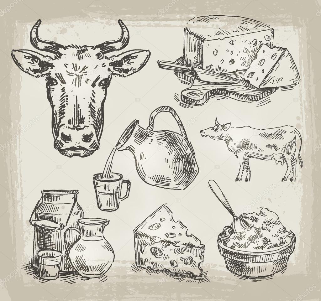hand drawn sketch set of dairy products and cow. vector illustration