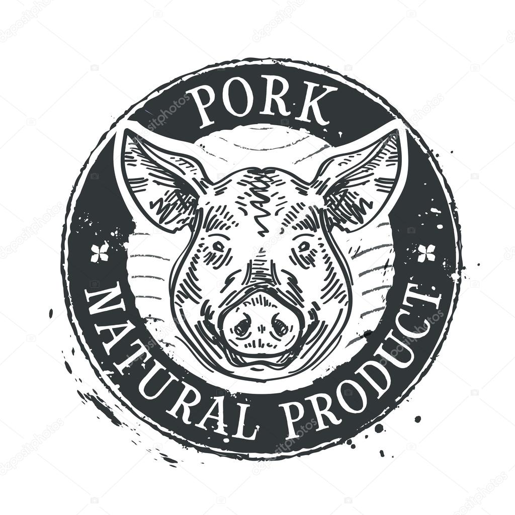 Pig head on a white background. vector illustration