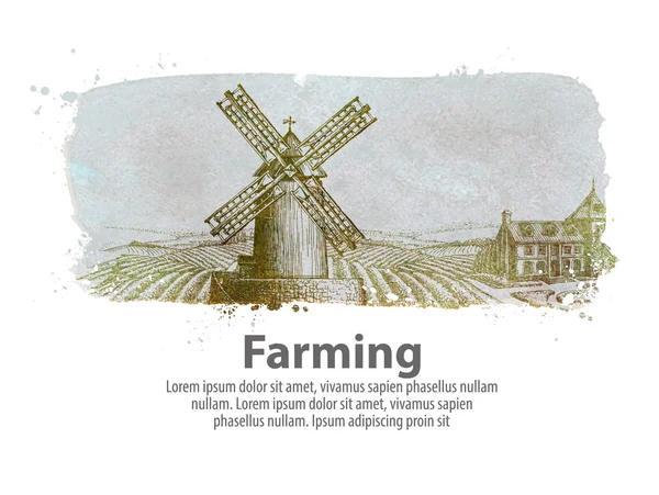 Farming or the old windy mill. vector illustration — Stock Vector