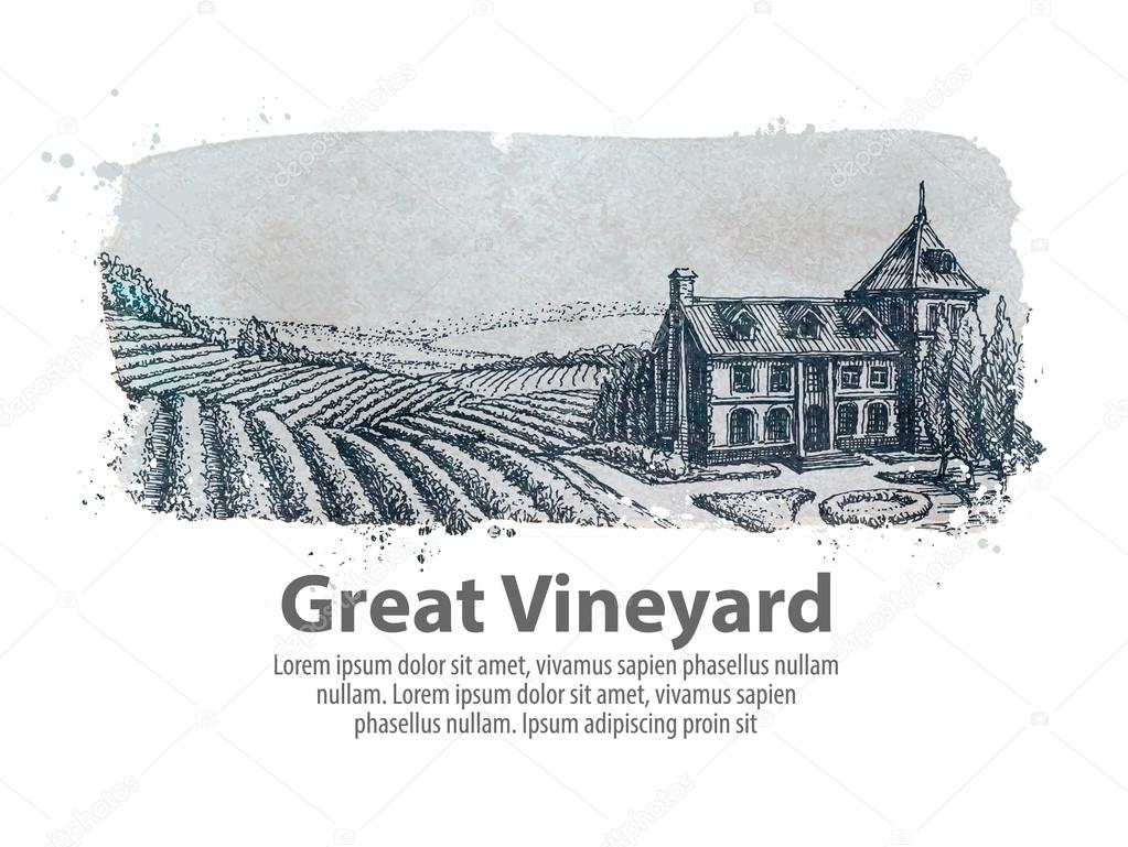 vineyard or a farm of hand-drawn sketch. vector illustration