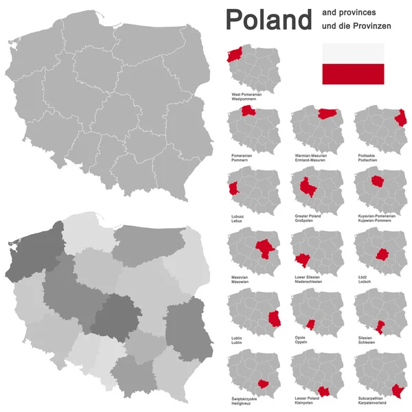 País Polonia y voivodatos — Vector de stock