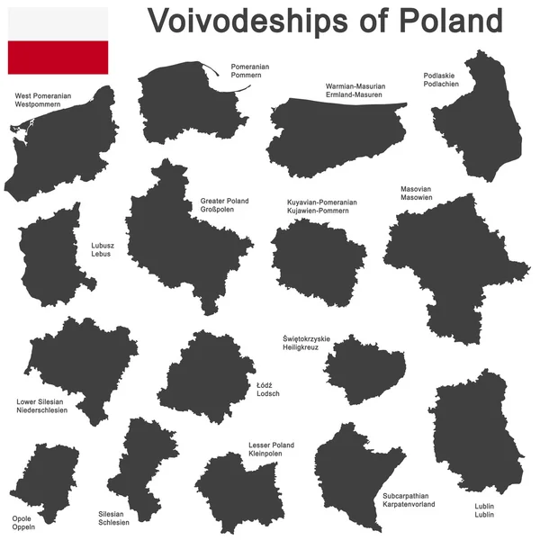 País Polonia y voivodatos — Vector de stock