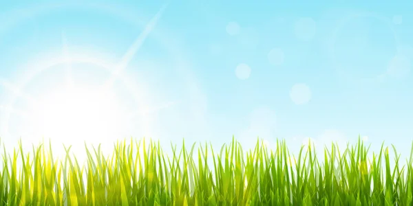 Eps Vector Background Template File Panorama Green Grass Lower Side — 스톡 벡터