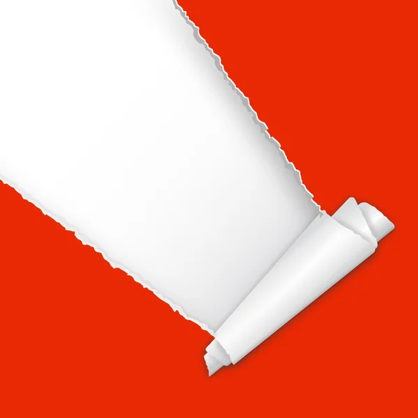 Gescheurde open papier met ruimte voor tekst — Stockvector