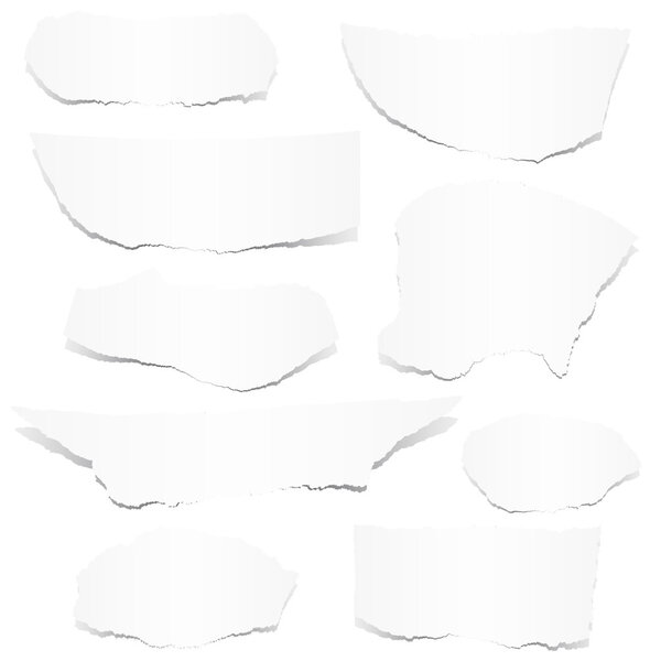 Коллекция - белые клочки бумаги
