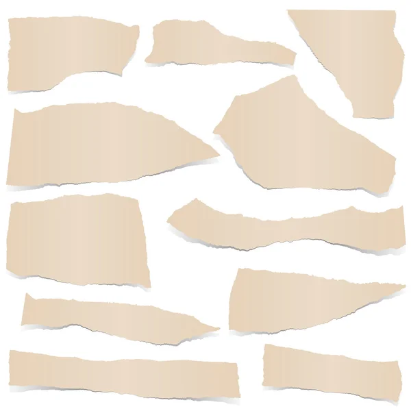 Collection scrap of paper — Stock Vector