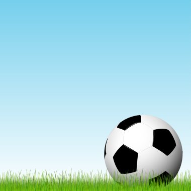 otların arasında yalan futbol topu