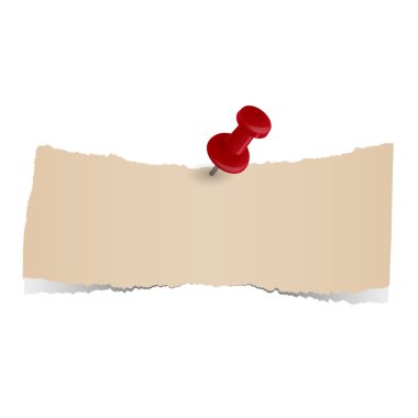 PIN ile kağıt artıkları