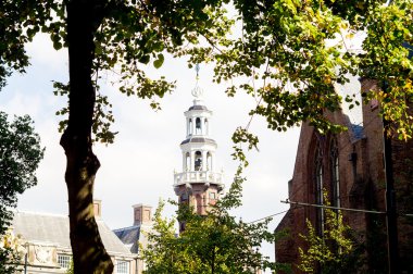 Lahey Spire anıt ağaç bir çerçeve içinde bırakır