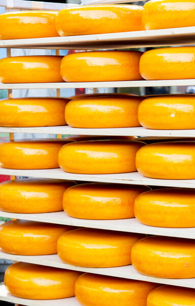 Ripened cheese wheels on shelves