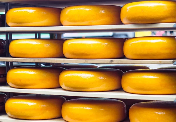 Ripened cheese wheels on shelves