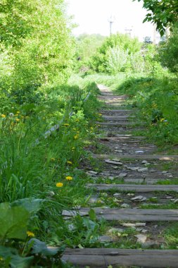 Terk edilmiş bir demiryolu. Uzağa uzanan yeşil bitkilerle kaplanmış.