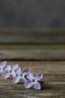 Mor leylak çiçekleri tahta bir yüzey üzerinde dikey olarak yatar.