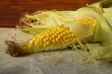 Koyu arkaplanda yaprakları olan çiğ mısır koçanı. Yeşil yapraklı olgun sarı mısır koçanı.