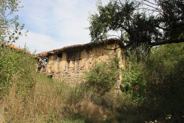 ormandaki eski bir ev