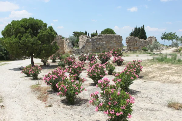 Pamukkale en Turquía —  Fotos de Stock