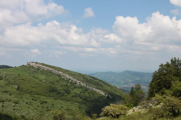 Yeşil manzara Bulgaristan — Stok fotoğraf