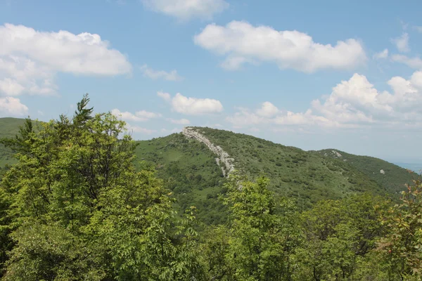 Green landscape from Bulgaria — Stock Photo, Image