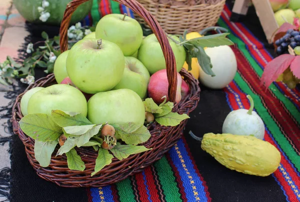Conceito Outonal Com Variedade Frutas Uma Cesta Tiro Livre — Fotografia de Stock