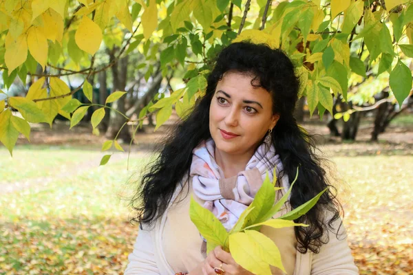 Осенняя Фотография Красивой Молодой Женщиной Позирующей Парке Окружении Множества Красочных — стоковое фото