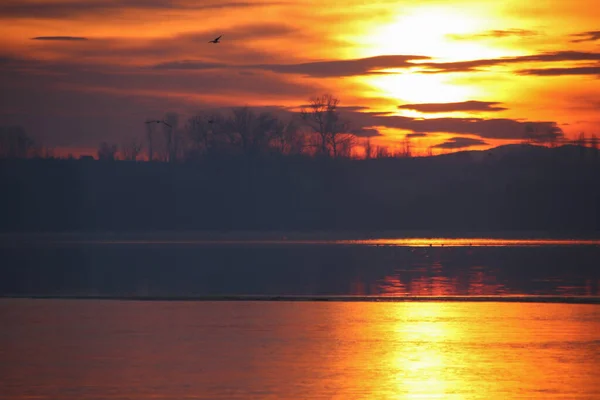 Romántico Amanecer Sobre Lago Congelado Enero — Foto de Stock