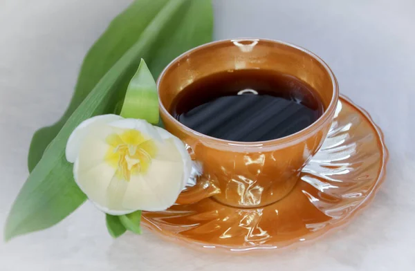 Bir Fincan Kahve Laleyle Sabah Konsepti — Stok fotoğraf