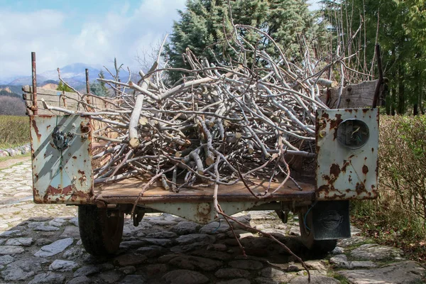 Closeup Picture Working Truck Full Dry Twigs — Stock Photo, Image