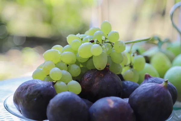 Concepto Otoñal Con Tazón Lleno Fruta Fresca Chupito Aire Libre — Foto de Stock