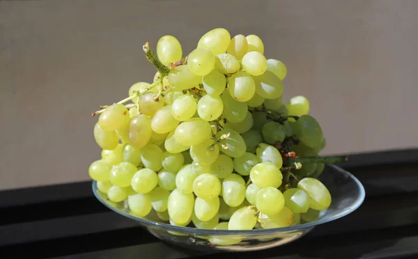 Herbstliches Konzept Mit Einer Schale Voller Frischer Früchte Außenaufnahmen — Stockfoto