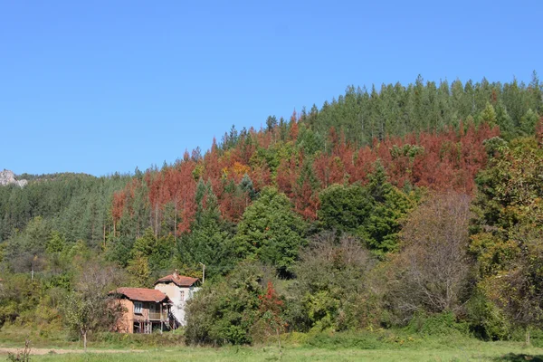 Otoño en las montañas —  Fotos de Stock