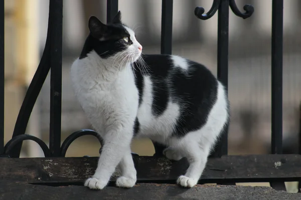 Obdachlose — Stockfoto