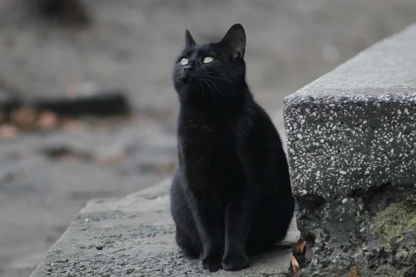 Obdachlose — Stockfoto