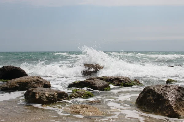 Sea landscape — Stock Photo, Image